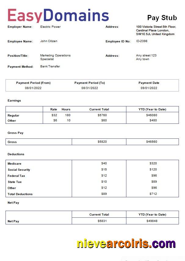 domain name registration company payslip